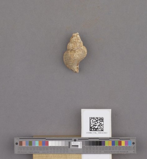 NSF ADBC EPICC TCN