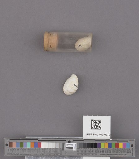 NSF ADBC EPICC TCN