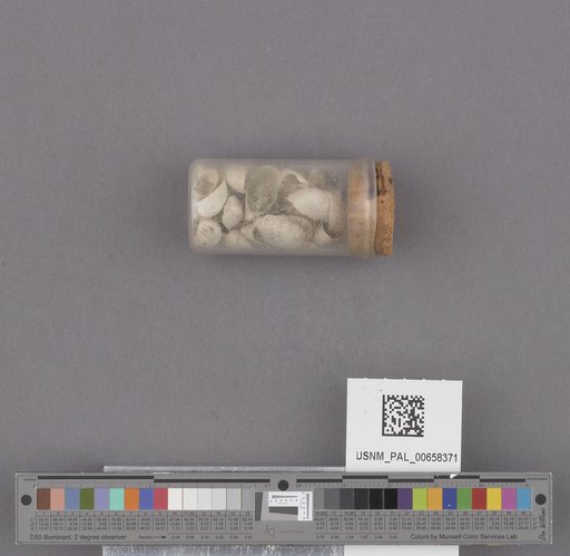 NSF ADBC EPICC TCN