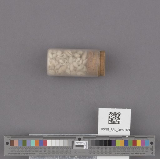 NSF ADBC EPICC TCN