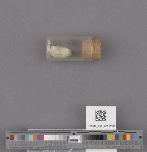 NSF ADBC EPICC TCN