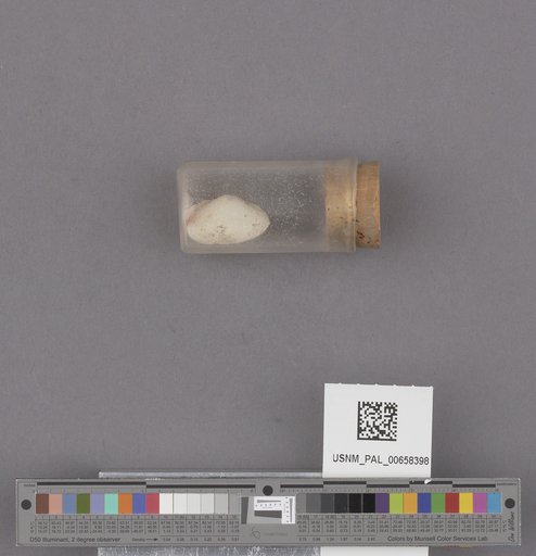 NSF ADBC EPICC TCN