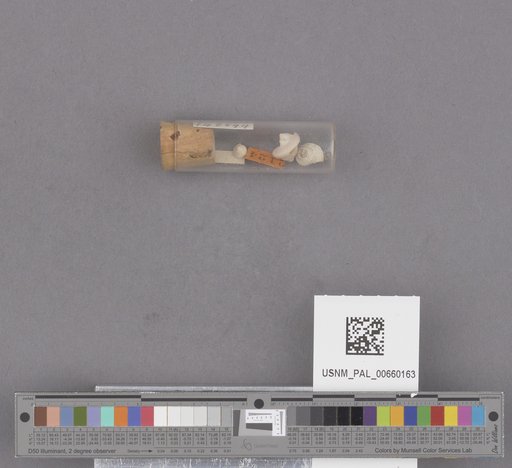 NSF ADBC EPICC TCN