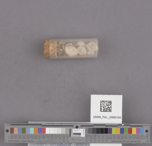 NSF ADBC EPICC TCN