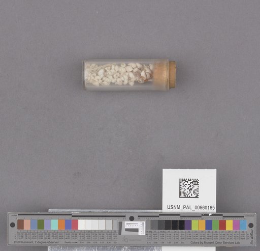 NSF ADBC EPICC TCN