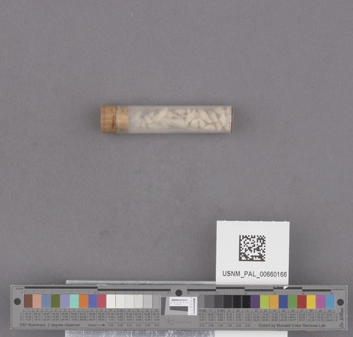 NSF ADBC EPICC TCN
