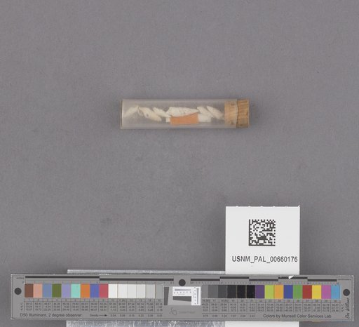 NSF ADBC EPICC TCN