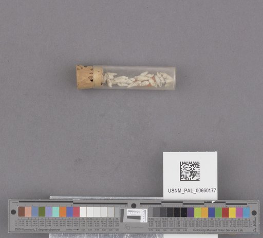 NSF ADBC EPICC TCN