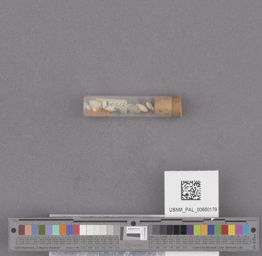 NSF ADBC EPICC TCN