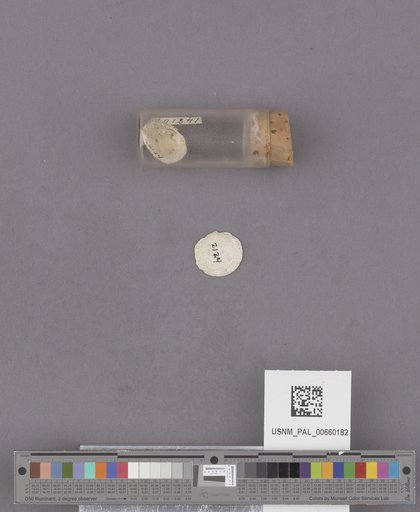 NSF ADBC EPICC TCN