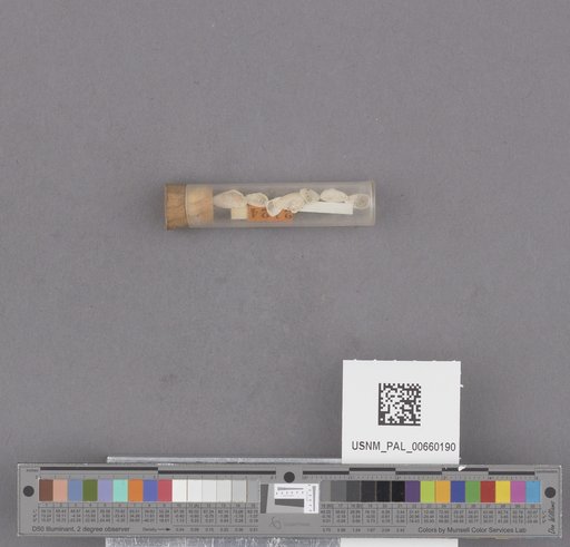 NSF ADBC EPICC TCN