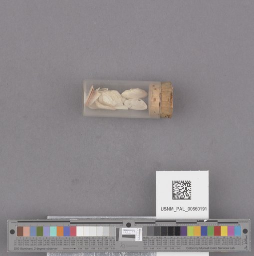 NSF ADBC EPICC TCN