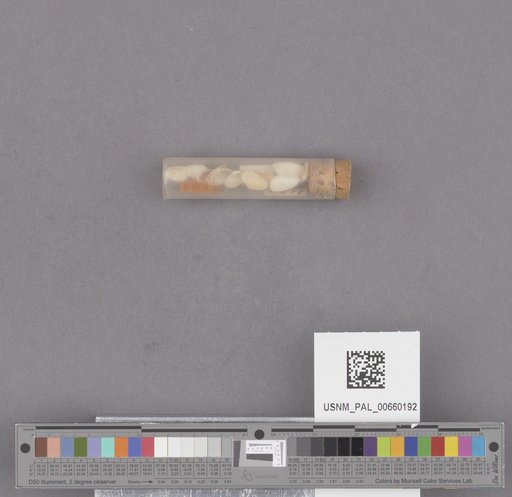 NSF ADBC EPICC TCN