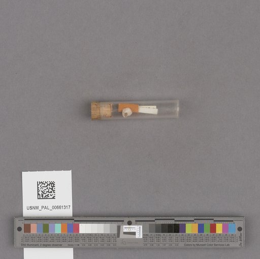 NSF ADBC EPICC TCN