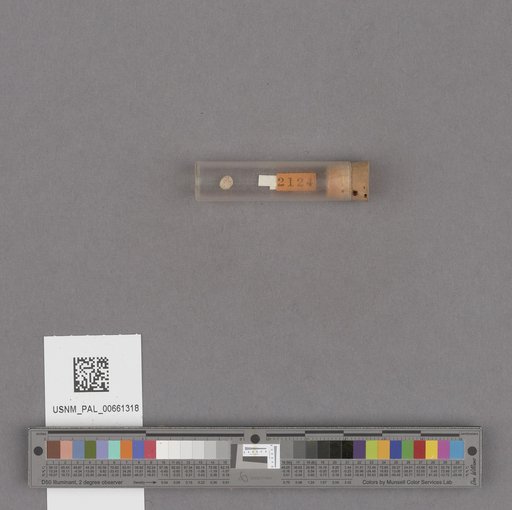 NSF ADBC EPICC TCN