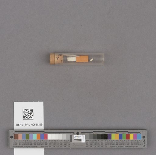 NSF ADBC EPICC TCN