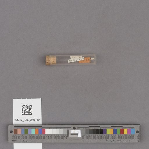 NSF ADBC EPICC TCN