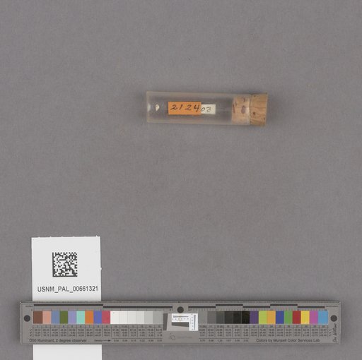NSF ADBC EPICC TCN