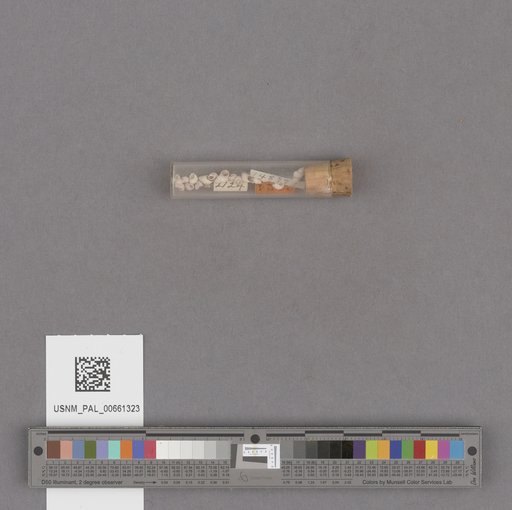 NSF ADBC EPICC TCN