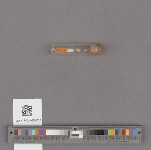 NSF ADBC EPICC TCN