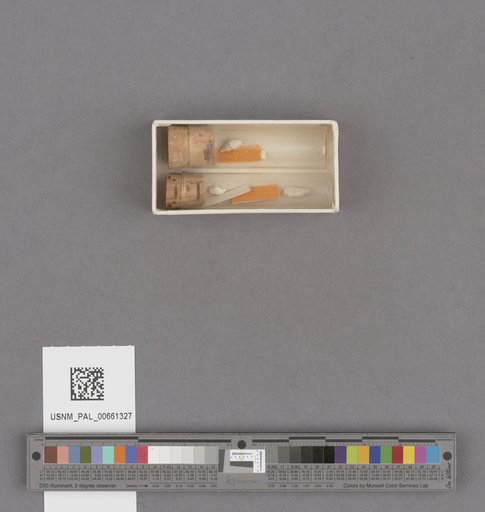 NSF ADBC EPICC TCN