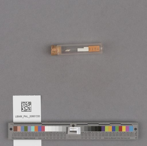 NSF ADBC EPICC TCN