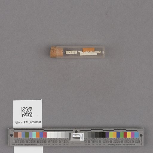 NSF ADBC EPICC TCN