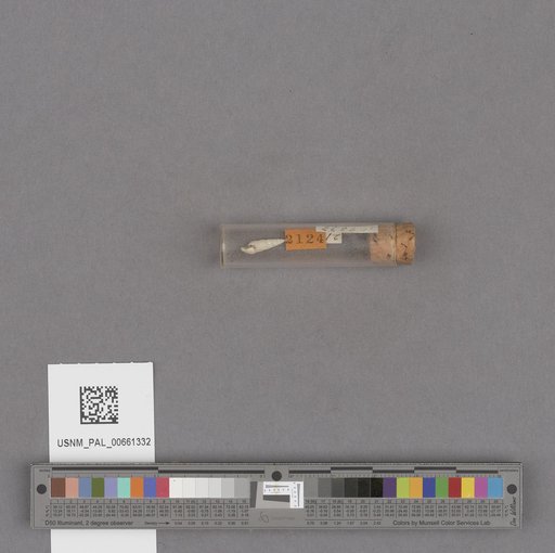 NSF ADBC EPICC TCN