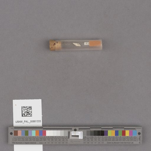 NSF ADBC EPICC TCN