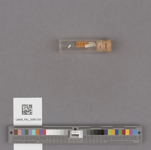 NSF ADBC EPICC TCN