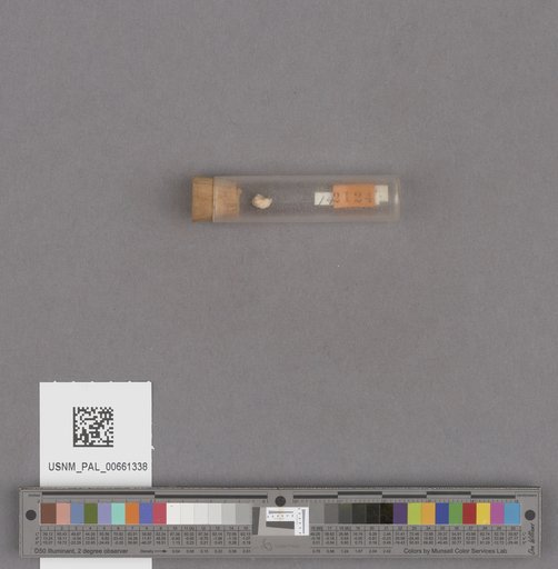 NSF ADBC EPICC TCN