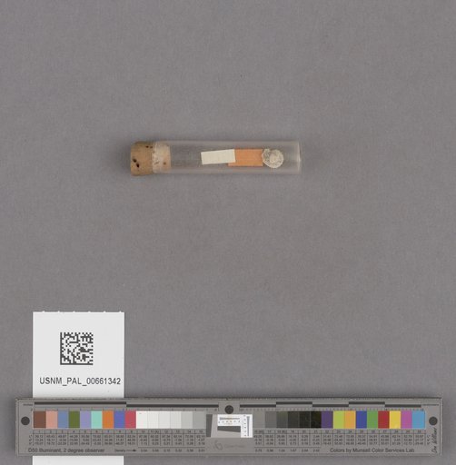 NSF ADBC EPICC TCN