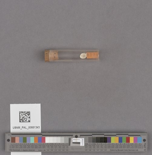 NSF ADBC EPICC TCN