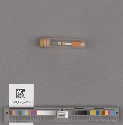 NSF ADBC EPICC TCN
