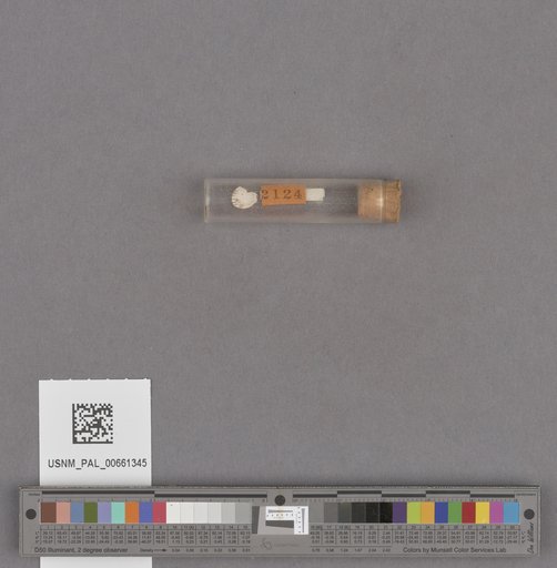 NSF ADBC EPICC TCN