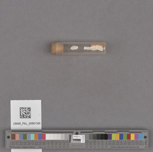 NSF ADBC EPICC TCN