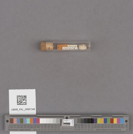 NSF ADBC EPICC TCN