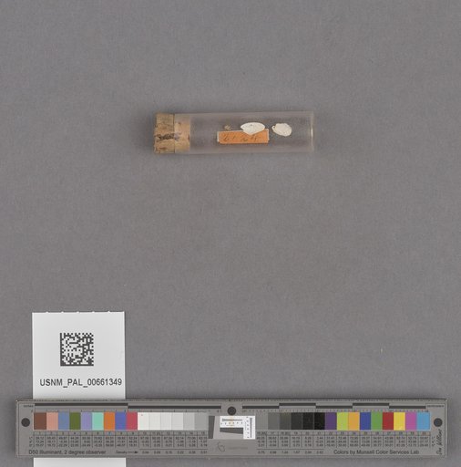 NSF ADBC EPICC TCN