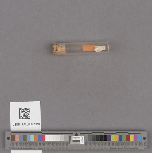 NSF ADBC EPICC TCN