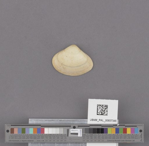 NSF ADBC EPICC TCN