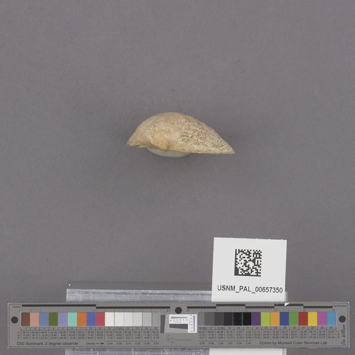 NSF ADBC EPICC TCN