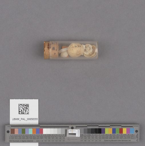 NSF ADBC EPICC TCN