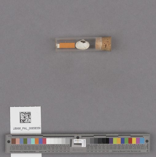 NSF ADBC EPICC TCN