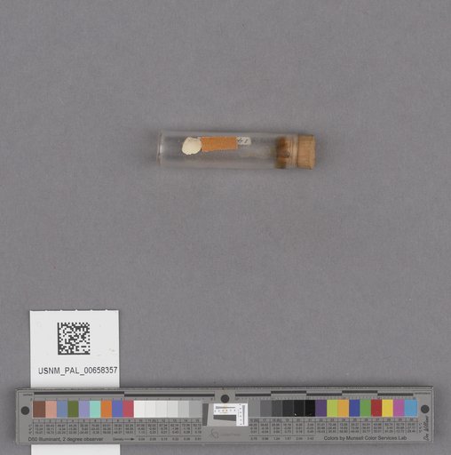 NSF ADBC EPICC TCN