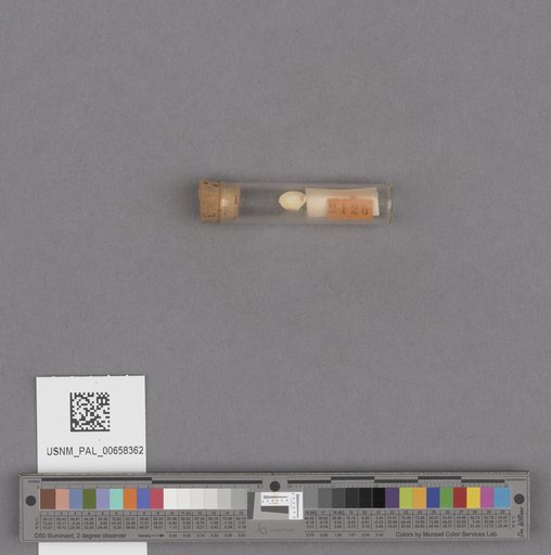 NSF ADBC EPICC TCN