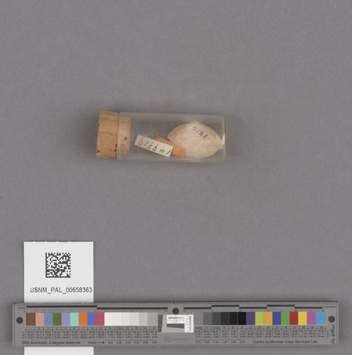 NSF ADBC EPICC TCN