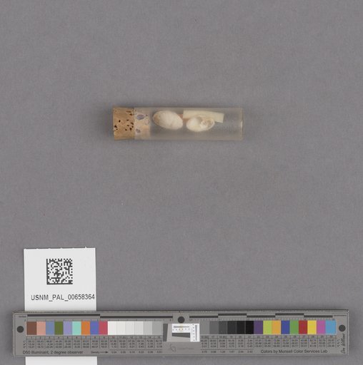 NSF ADBC EPICC TCN