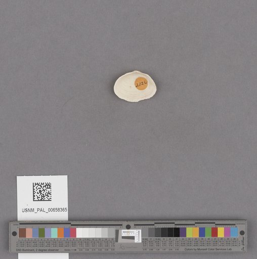 NSF ADBC EPICC TCN