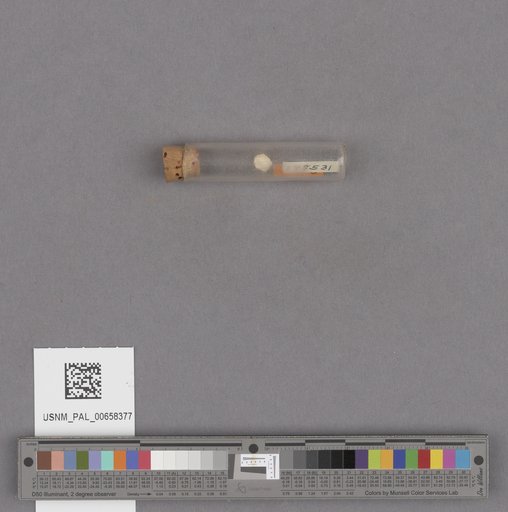 NSF ADBC EPICC TCN