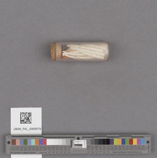 NSF ADBC EPICC TCN